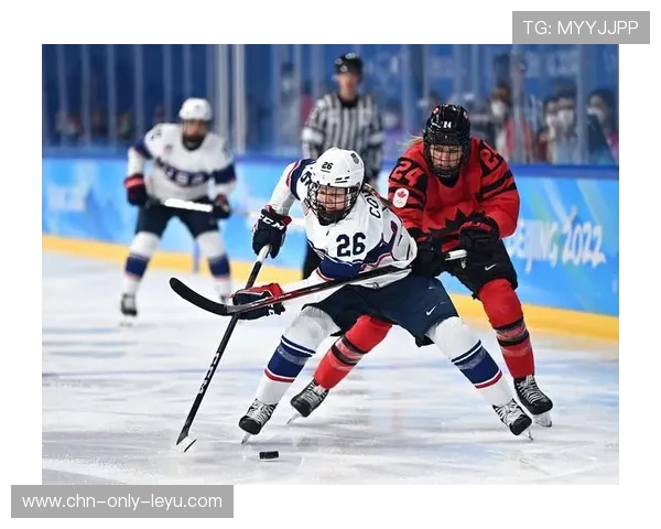 冰球世界杯北美队展现惊人速度与力量,北美冰球职业联赛总决赛