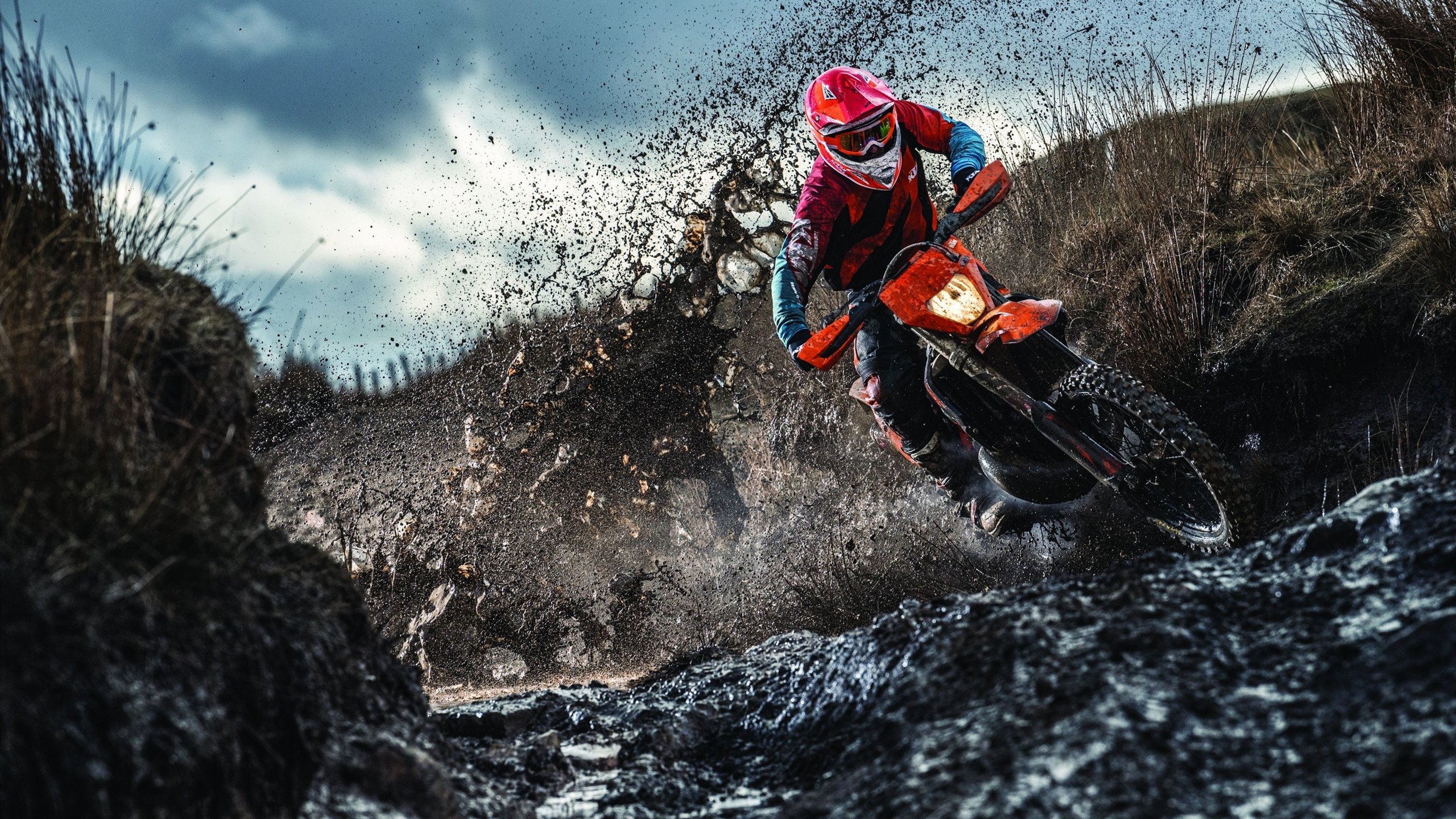 49人连取胜利，麦卡弗里状态火热，麦卡弗雷